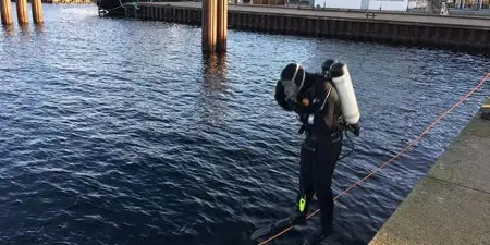 Dykker springer i havet